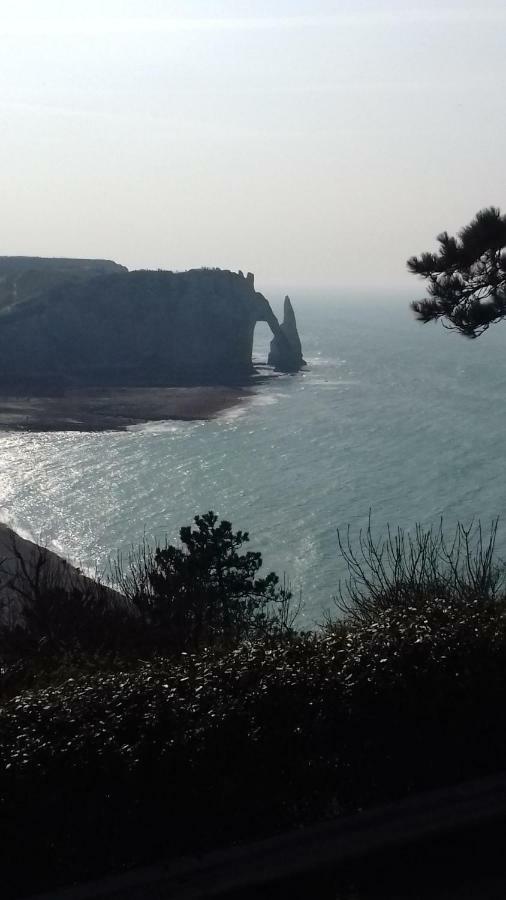 Les Nids Des Falaises Saint-Jouin-Bruneval Exterior photo